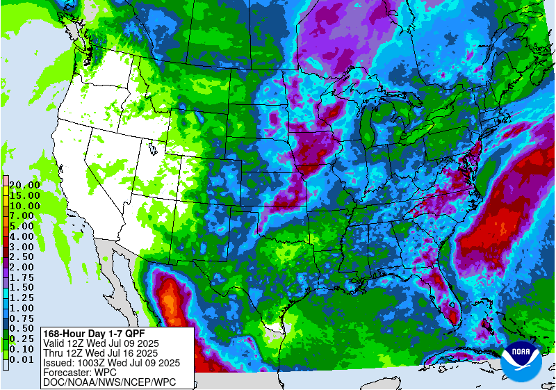 For decorative purposes.